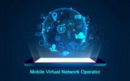 Mobile Virtual Network Operator(MVNO)