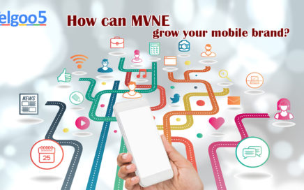 MVNE