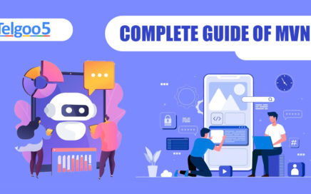 Complete Guide of MVNE